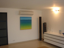 photo of seacape painting