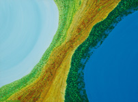 lake and ocean kimberley aerial landscape painting art
