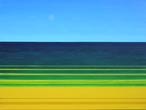 beach essentials semi-abstracted seascape