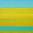wetlands landscape painting